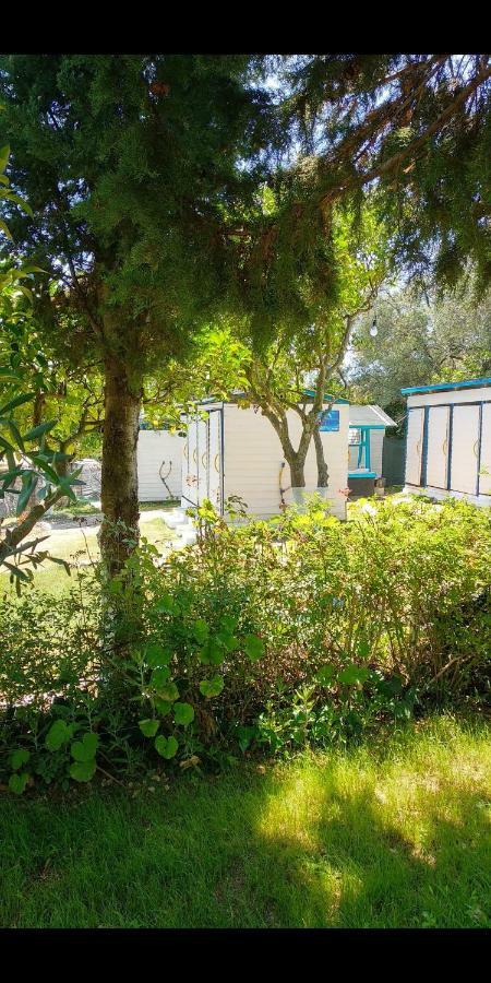 The Sea Turtle Camp Hotel Dhermi Exterior photo